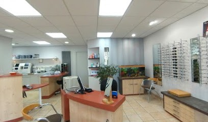 Optique Lorgeou, Opticien à Ingré