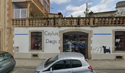 EURL Alriquet, Opticien à Saint-Affrique