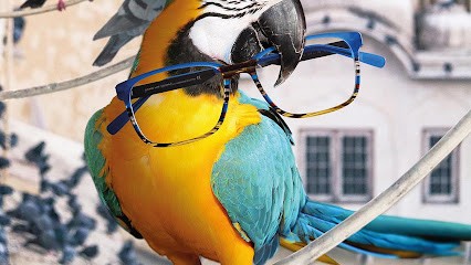 MONOPTICIEN Le Cannet - Opticien, Opticien au Cannet